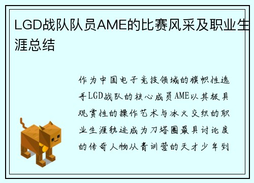 LGD战队队员AME的比赛风采及职业生涯总结