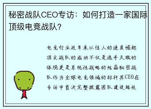 秘密战队CEO专访：如何打造一家国际顶级电竞战队？